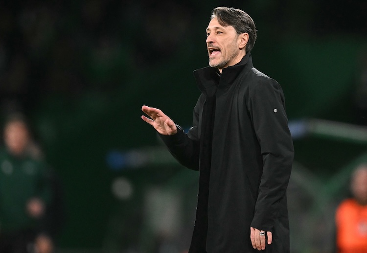 Borussia Dortmund are currently eleventh in the Bundesliga table