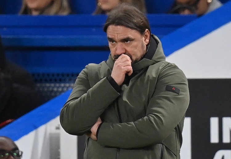 Daniel Farke has guided Leeds United back to the Premier League for next season